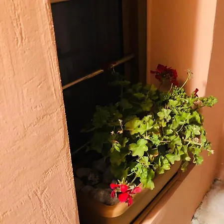 Solo Traveler * Ermoupoli