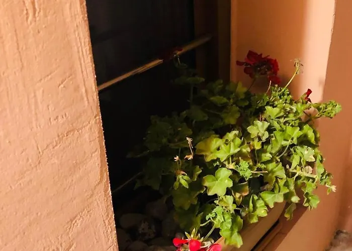 Solo Traveler * Ermoupoli